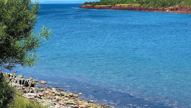 A coastal landscape with a clear view of the sea, a rocky shoreline, and a forested hill in the background. - Captain's suite @ The Homestead Oceanfront (Norman's Cove-Long Cove)
