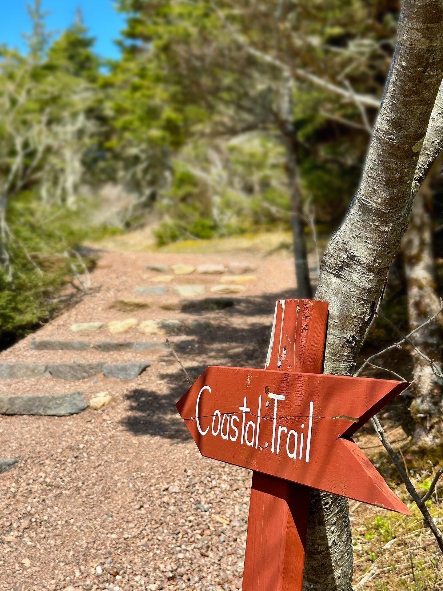 Àrea exterior de l'allotjament