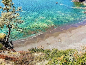 Ett kustlandskap med klart blått vatten, en sandstrand och vegetation.
