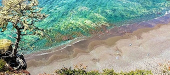 Starboard suite @ The Homestead Oceanfront