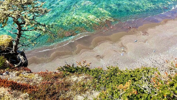 Paesaggio costiero con acque blu cristalline, spiaggia sabbiosa e vegetazione.