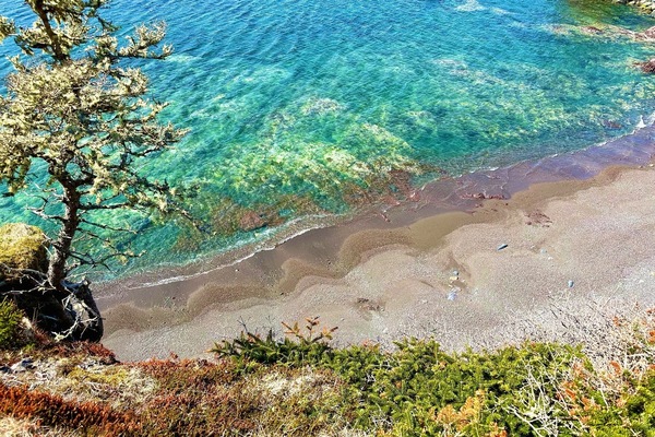 Bright colors on the Chance Cove Coastal Trail