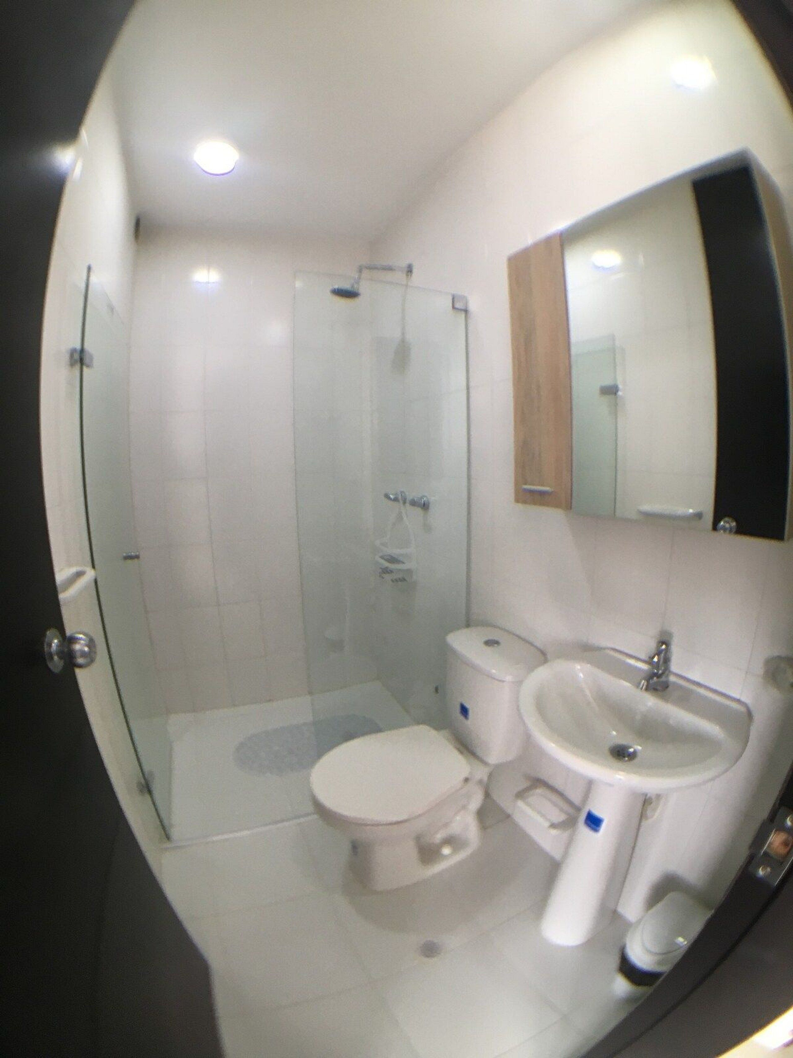 A bathroom with a glass-enclosed shower, a toilet, and a sink.