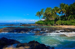 Camastros y toallas de playa 