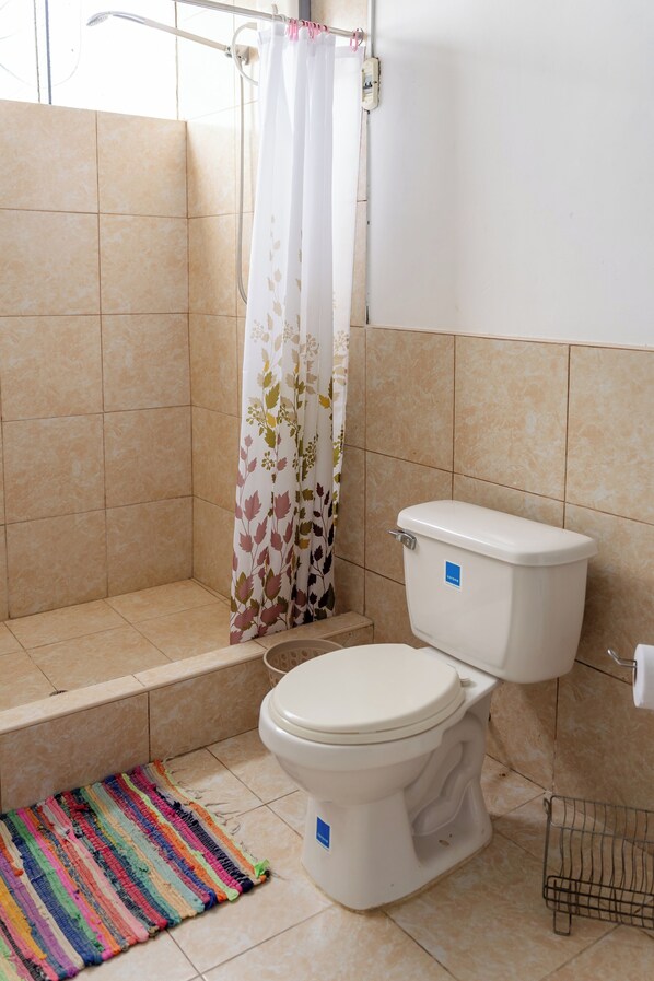 A bathroom with a toilet, shower, and a colorful rug.