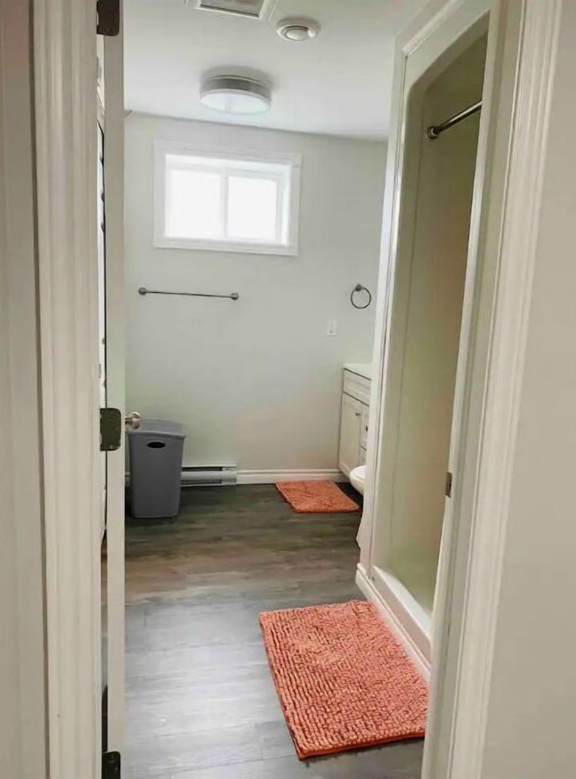 A narrow hallway with a door at the end, a window, a radiator, a trash bin, and a rug.