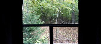 Creekside Camper/Mountain Hiking/National Forest!