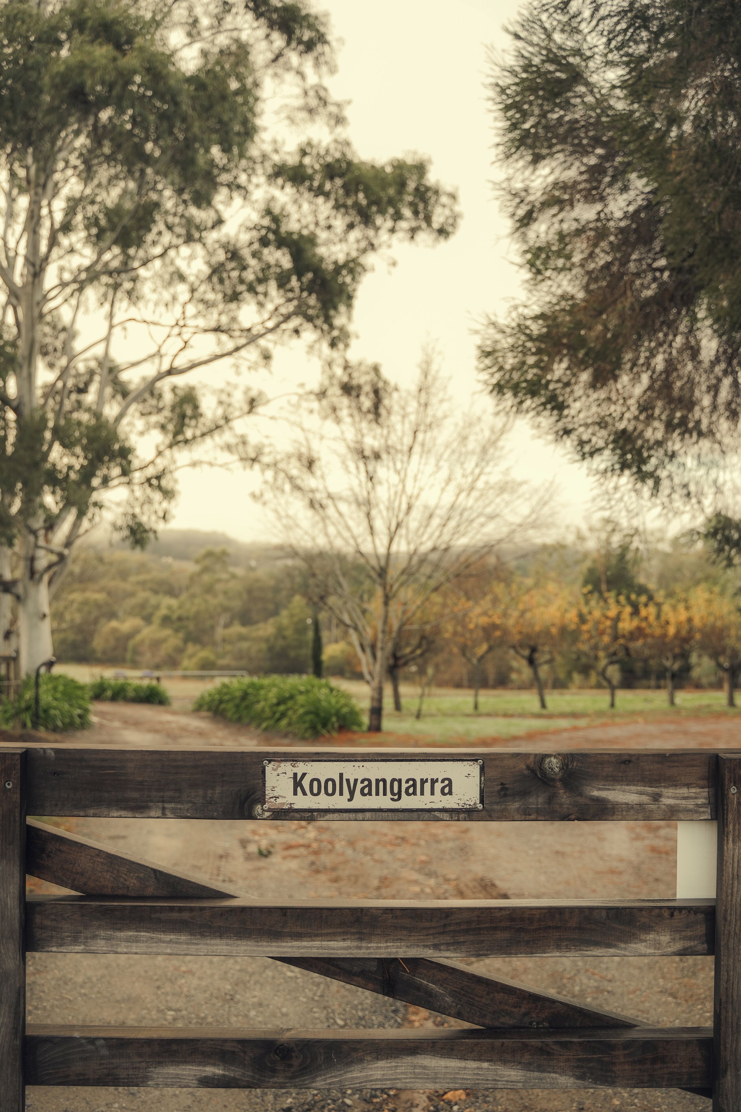 A wooden gate with a sign that reads "Koolyangarra".
