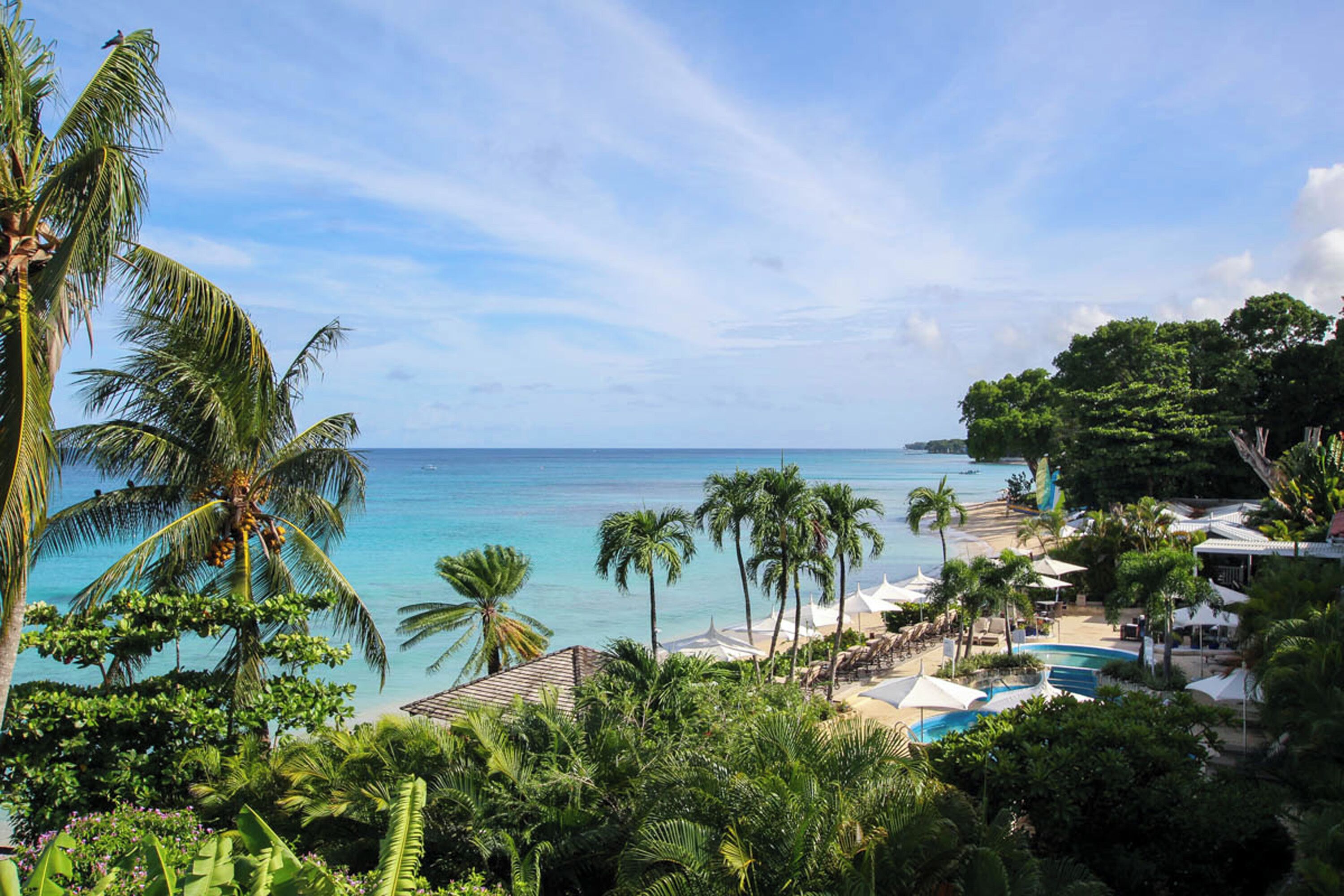 A tropical resort with a pool, palm trees, and a view of the ocean.