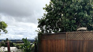An outdoor patio with a sofa set, a table, and planters. - Art Gallery Family Home - Southern California Style - Excellent Location (San Diego)