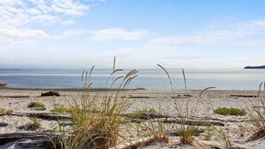 A beach with sand, seaweed, and grasses.