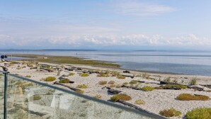 Un paysage côtier caractérisé par une plage de sable, une végétation clairsemée et une mer calme.