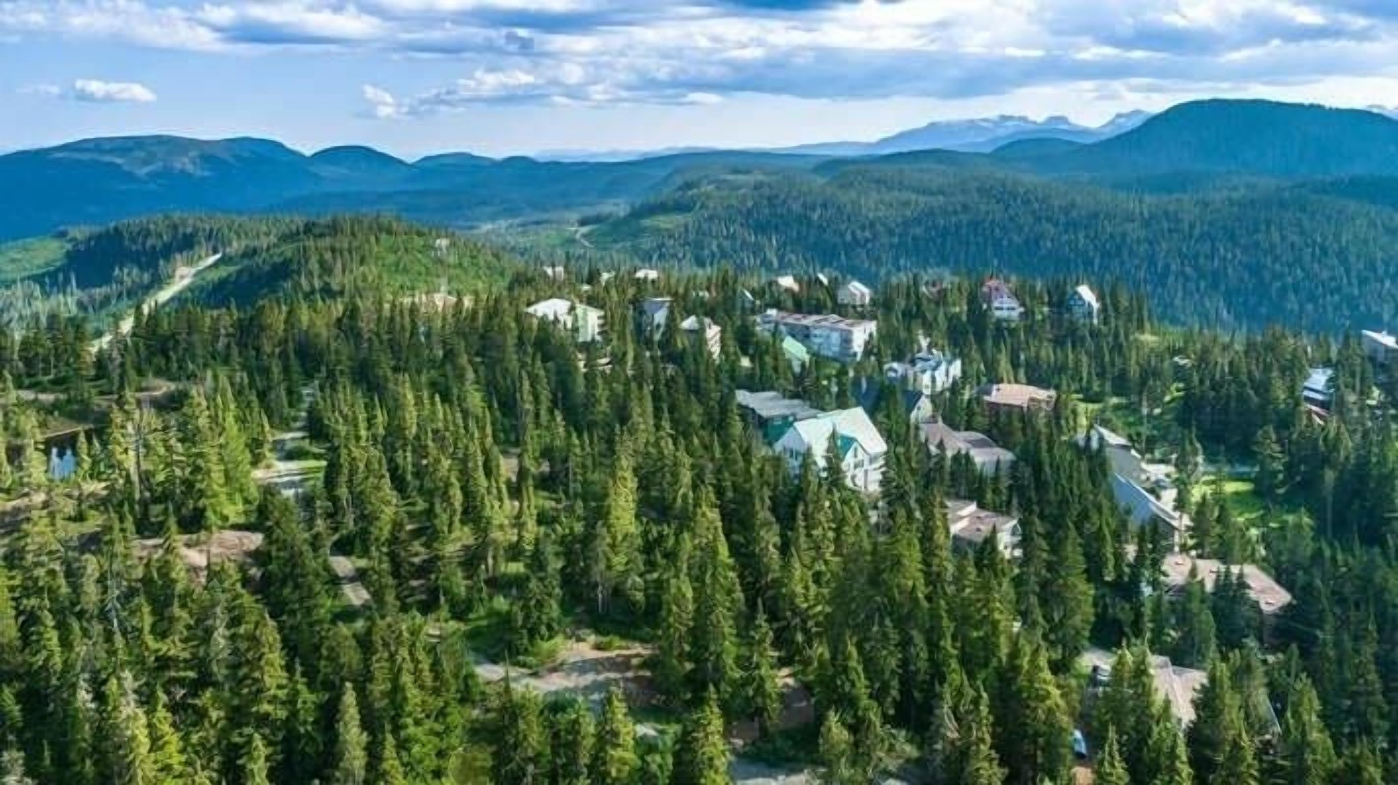 Un'area boscosa con edifici sparsi, probabilmente un resort o un lodge, circondata da montagne.