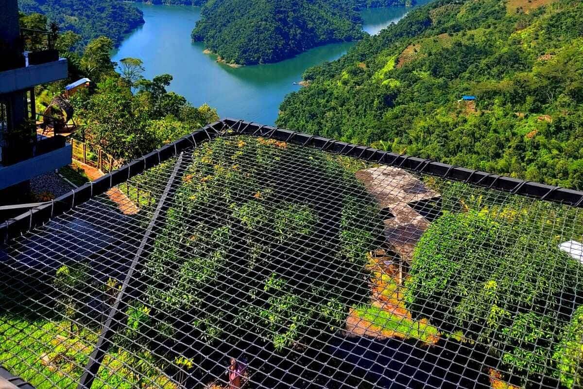 Uitzicht vanaf een hoog punt over een weelderige vallei met een rivier, omringd door dichte begroeiing en verre bergen.