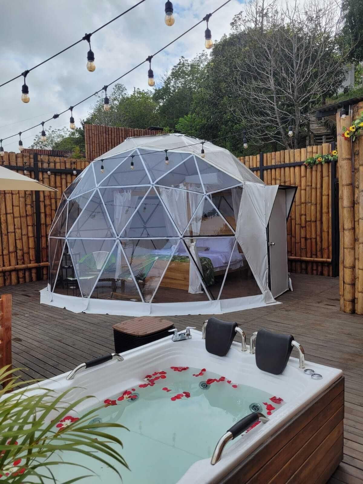 Estructura en forma de cúpula geodésica con techo transparente, bañera de hidromasaje con pétalos de rosa y luces colgantes en un patio trasero.