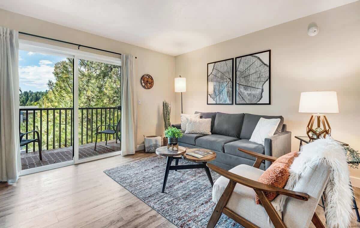 TV, fireplace, books