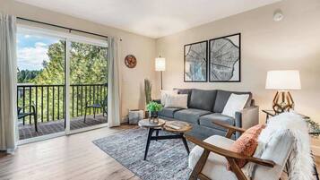 TV, fireplace, books