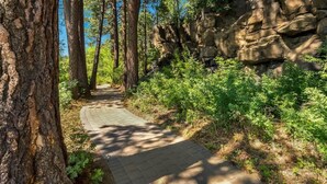 A paved pathway surrounded by trees and rocky terrain.