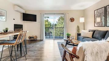 TV, fireplace, books