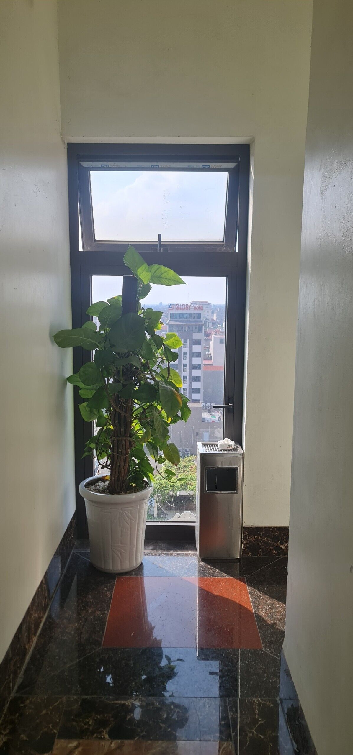 Corredor com planta em vaso, janela e lixeira.