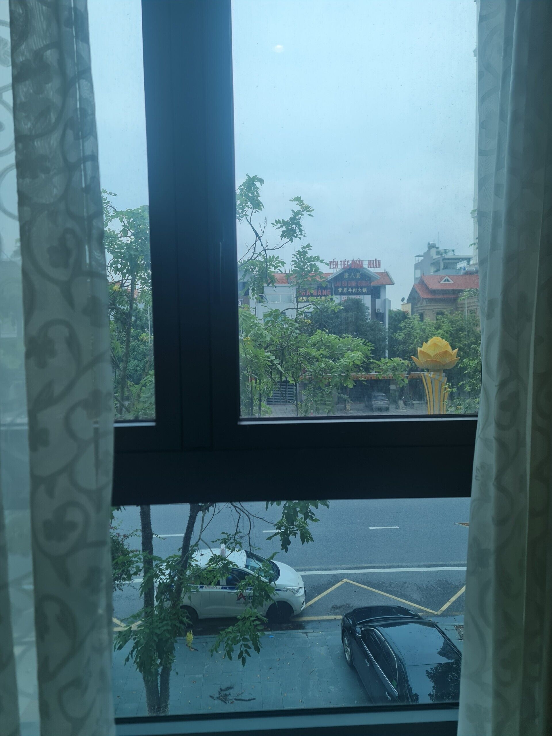 Vista a través de una ventana con cortina, mostrando una calle con coches aparcados, una flor amarilla y edificios al fondo.
