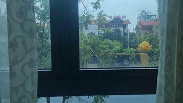 A view through a window with a curtain, featuring a street with parked cars, a yellow flower, and buildings in the background.