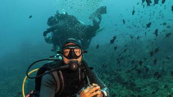 A diver surrounded by a school of fish, with a clear view of the underwater environment.