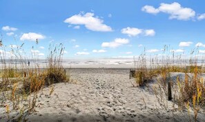 On the beach - Seaside Serenity: Private Balcony, Poolside, Coligny Plaza and Ocean View! (Hilton Head Island)