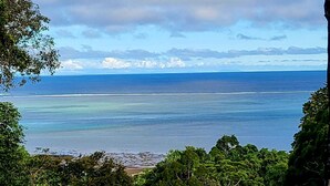 A coastal view with a clear sky, calm sea, and dense greenery.