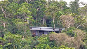 A house surrounded by dense forest.