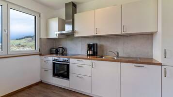 Kühlschrank, Ofen, Herdplatte, Geschirrspüler