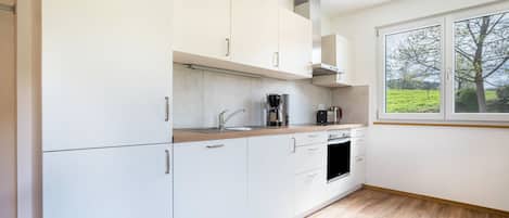 Fridge, oven, stovetop, dishwasher