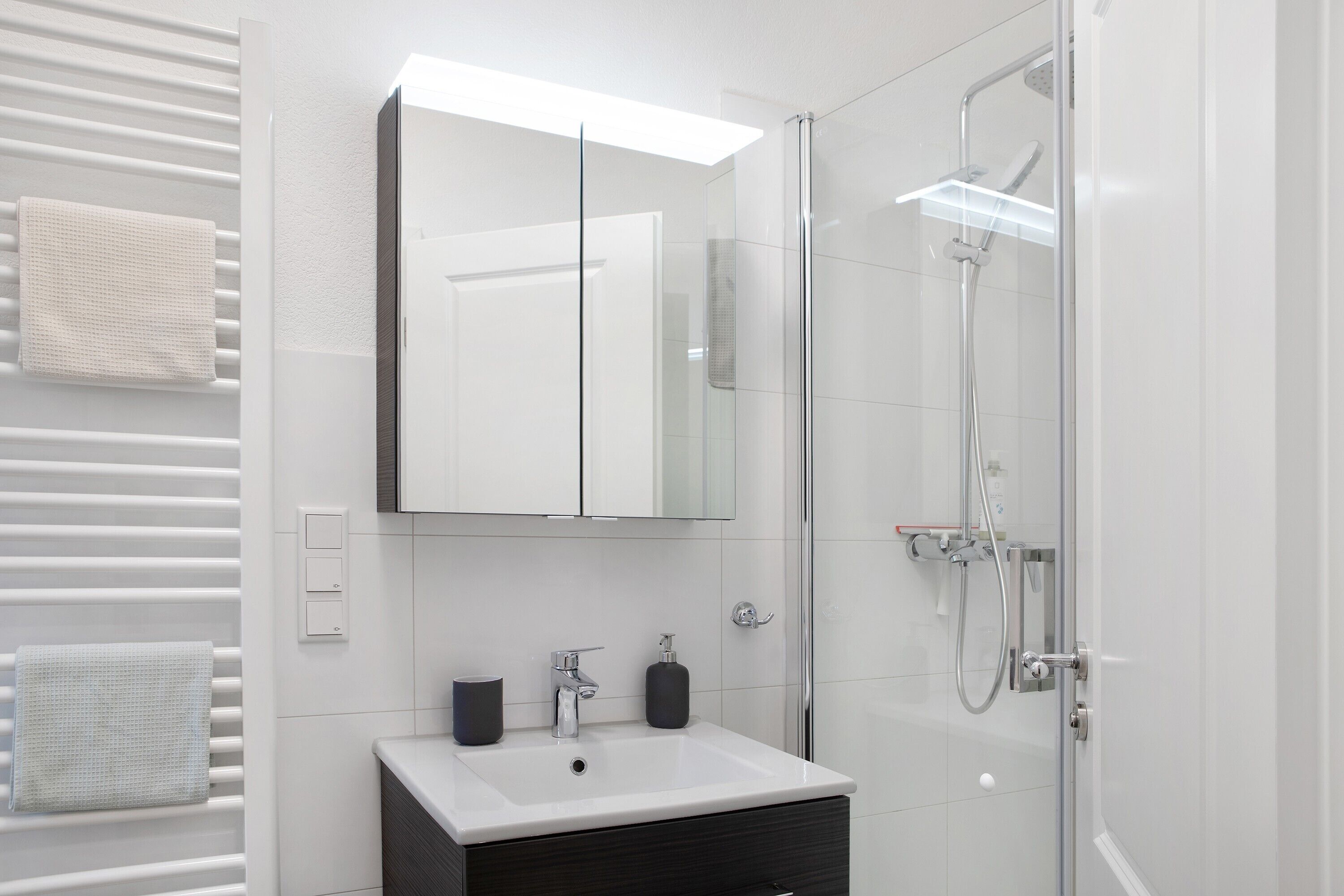 A modern bathroom with a glass shower enclosure, a white sink, and a mirror above it.