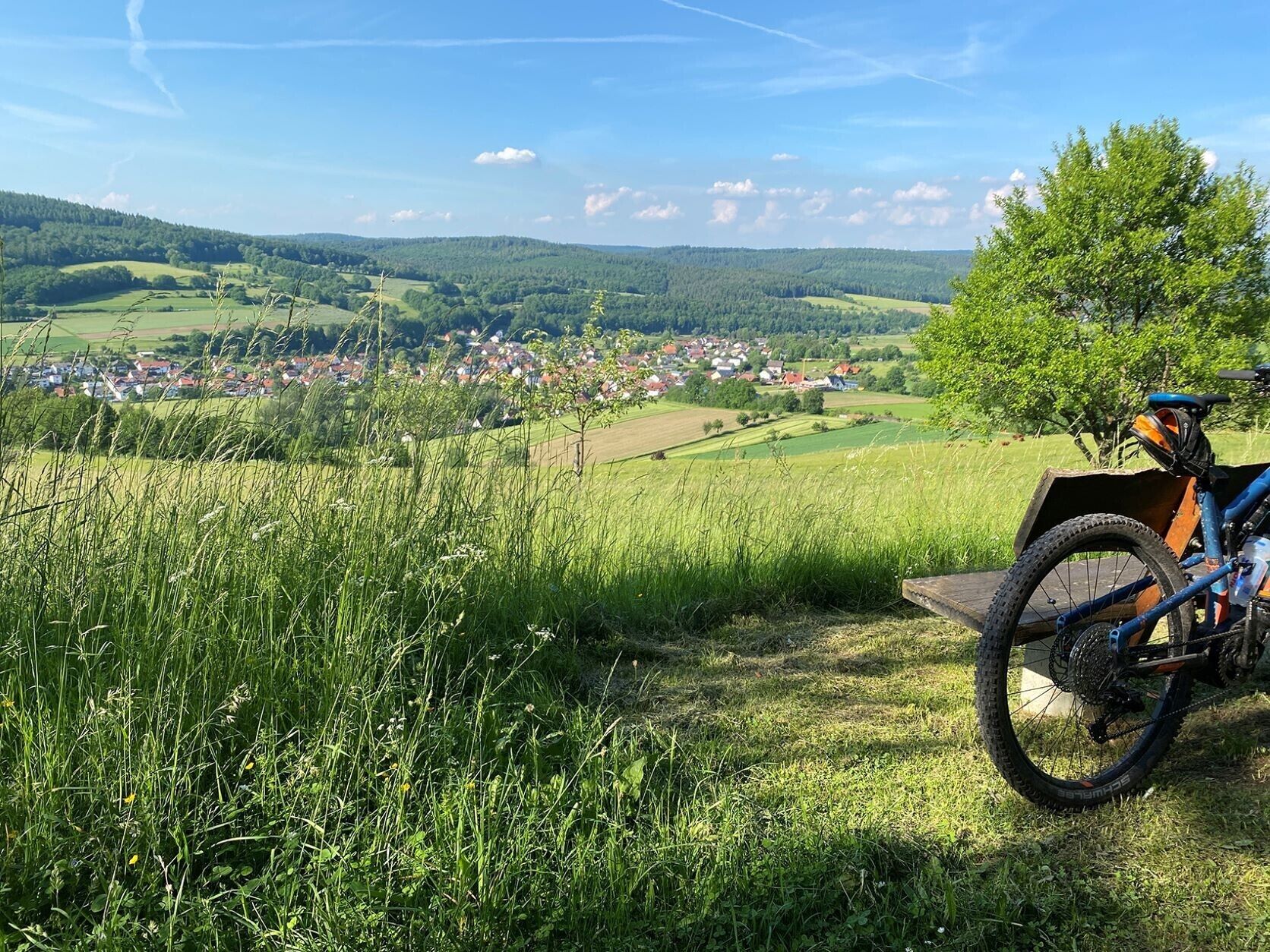 A mountain bike on a grassy hill overlooking a town.