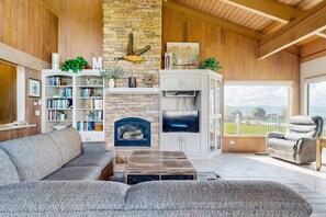 Een televisie, een open haard, een dvd-speler en boeken