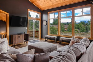 TV, fireplace, books, video library