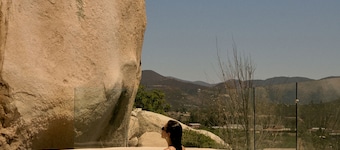 Banyan Tree Veya Valle De Guadalupe