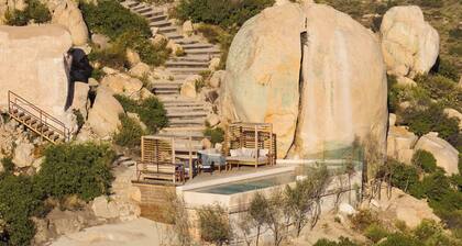 Banyan Tree Veya Valle De Guadalupe