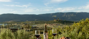 Banyan Tree Veya Valle De Guadalupe