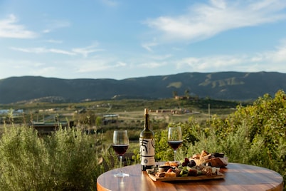 Banyan Tree Veya Valle De Guadalupe