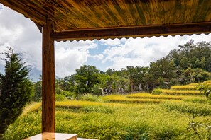 Deluxe chalet, 2 queensize bedden, niet-roken, uitzicht op bergen | Terras