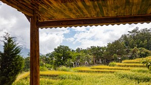A wooden structure with a view of terraced fields and trees. -  Hoa Chanh Bungalow (Ta Van)
