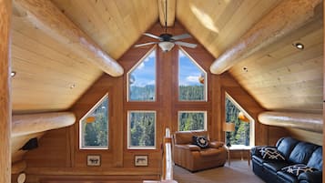 Smart TV, lareira, DVD player, livros