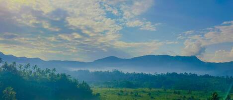 A panoramic view of a lush green landscape with distant mountains under a partly cloudy sky.