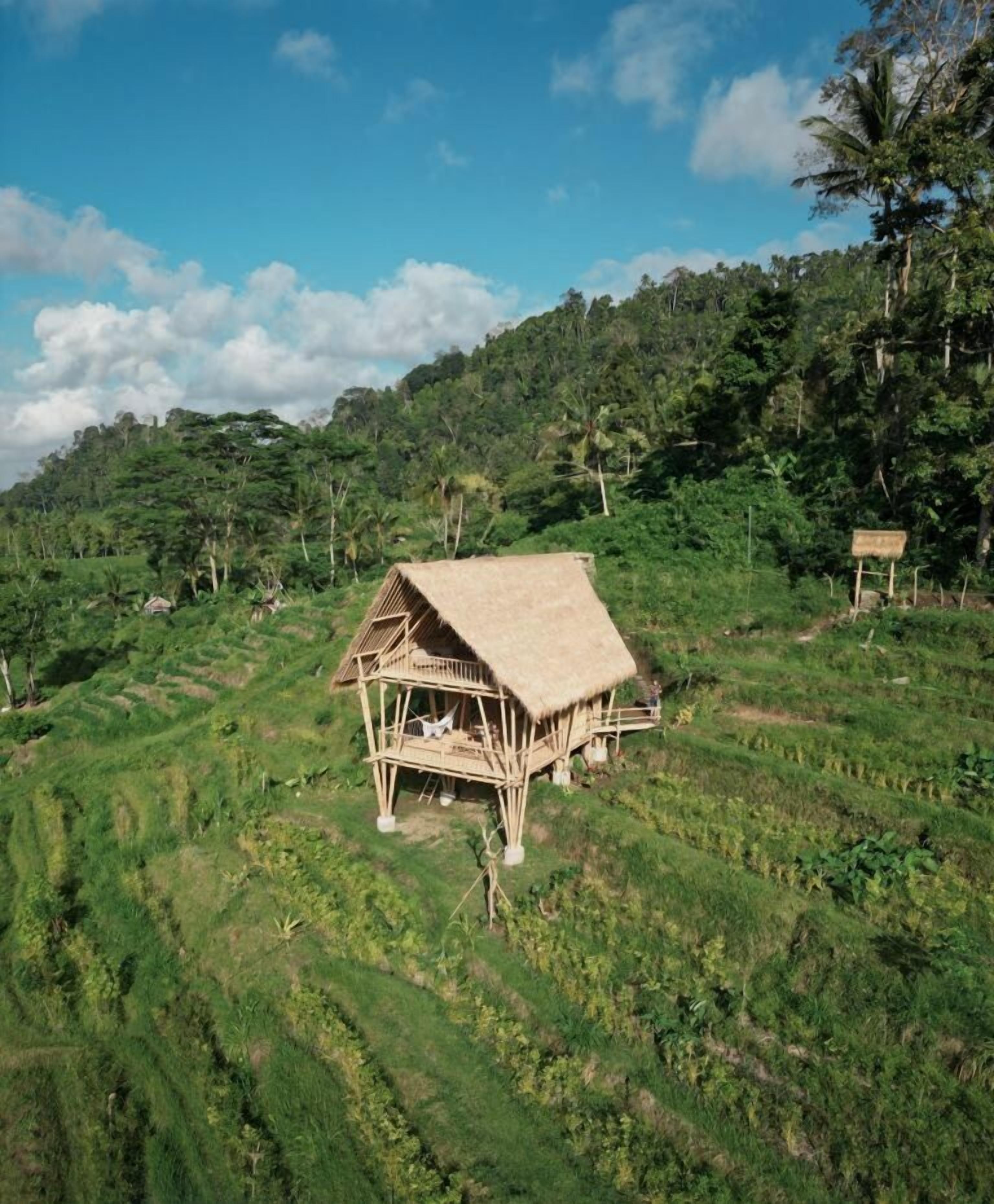 A bamboo structure with a thatched roof, surrounded by terraced fields and dense greenery.