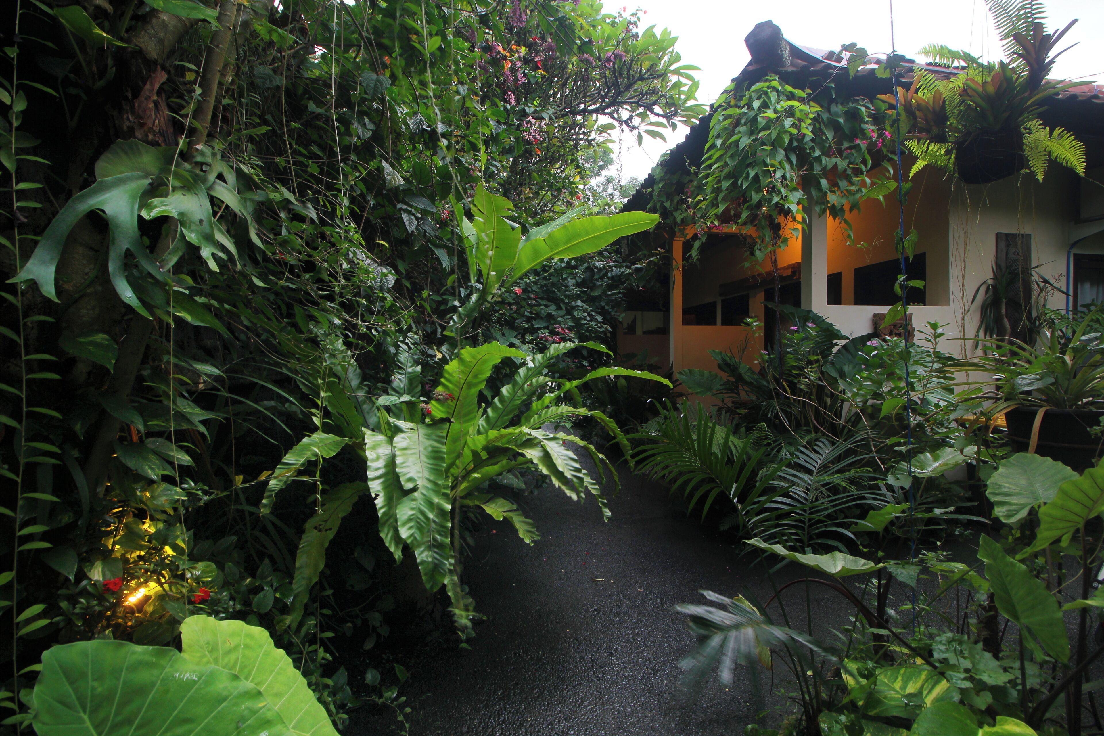 Photo - Sari Gong Guest House, A Trishula Collection