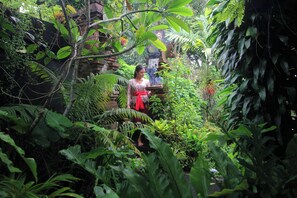 A person standing in a lush, green garden with dense foliage and a stone structure in the background. - Sari Gong Guest House, A Trishula Collection (Ubud)