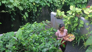A person sitting on a bench surrounded by dense greenery. - Sari Gong Guest House, A Trishula Collection (Ubud)