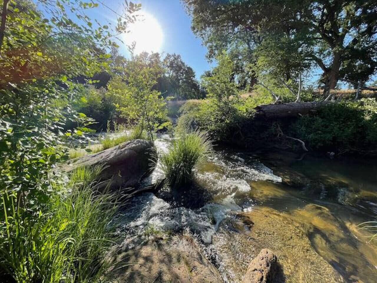 Un entorno natural al aire libre con un arroyo, rocas y vegetación.