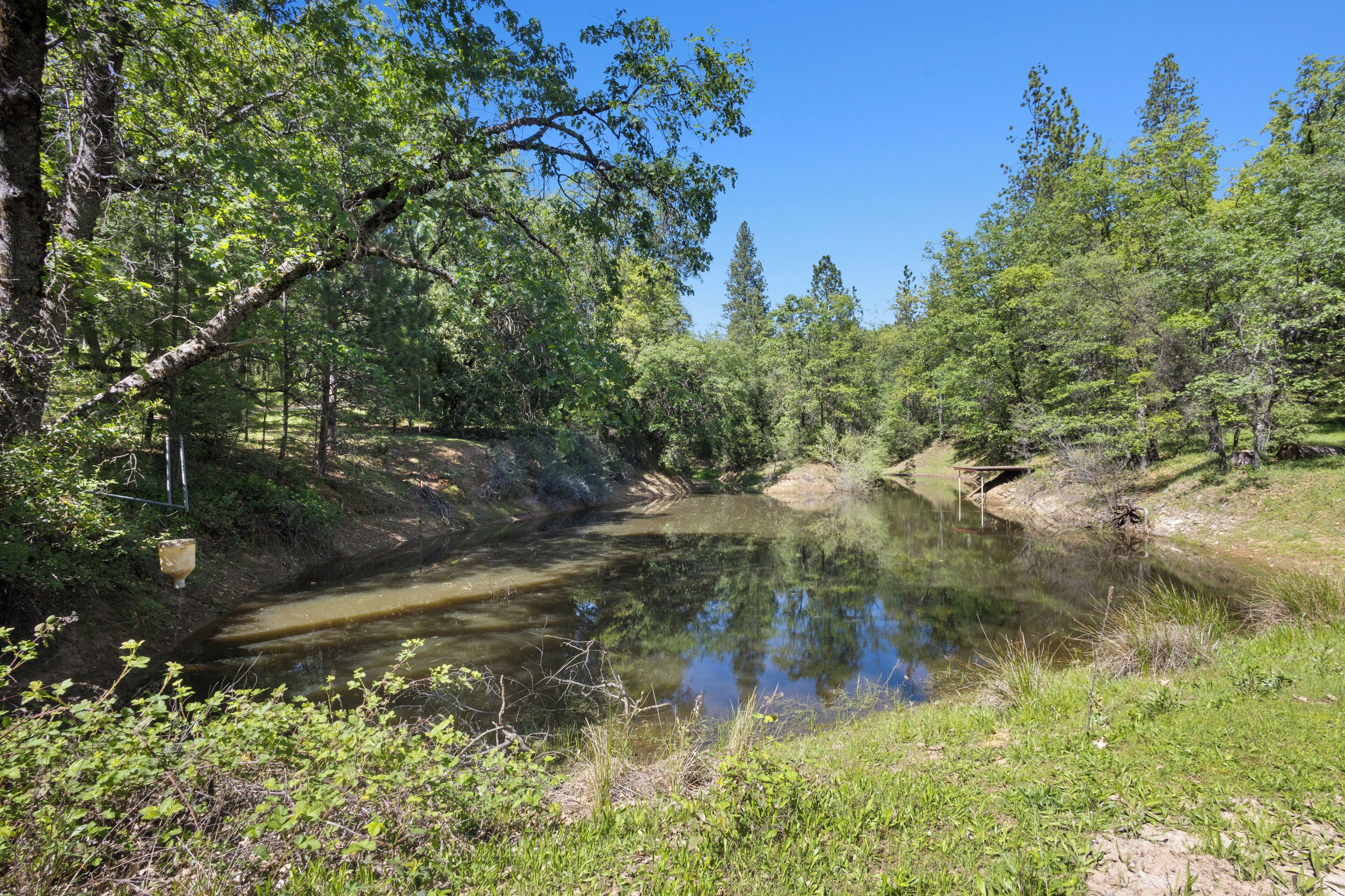 A natural landscape with a calm river, dense trees, and a clear sky.